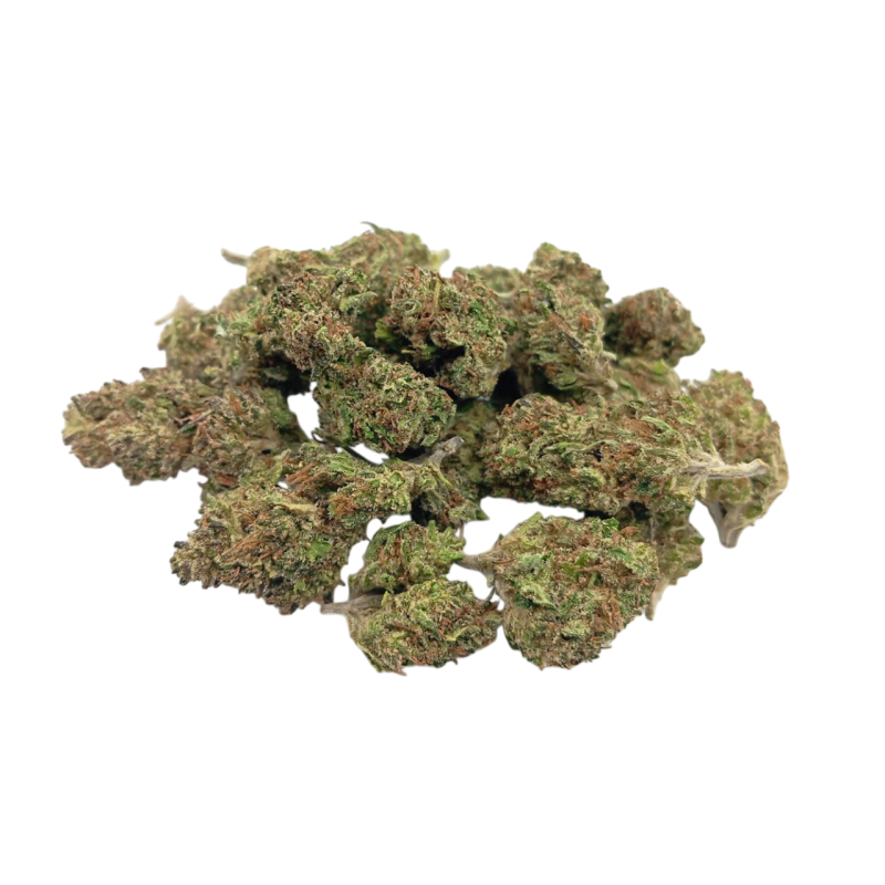 Small Buds Greenhouse Tropical Purple