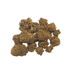 Small Buds Greenhouse M.A.C.