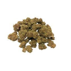 Small Buds Premium Bubble Gum