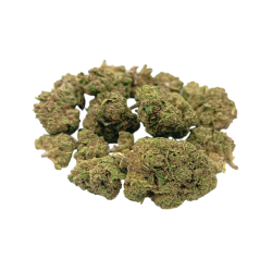 Small Buds Premium Orange Sherbet