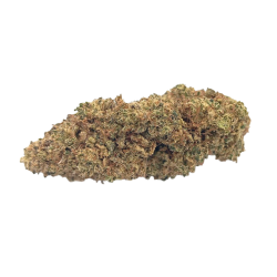 Northern Lights Premium