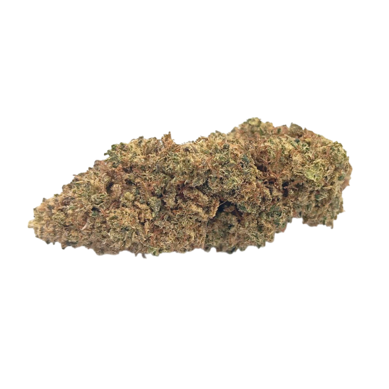 Northern Lights Premium