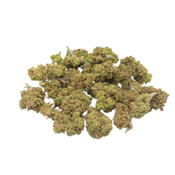 Small Buds Greenhouse Amnesia