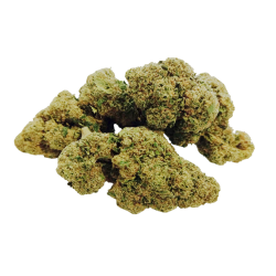 Choco Buds Premium