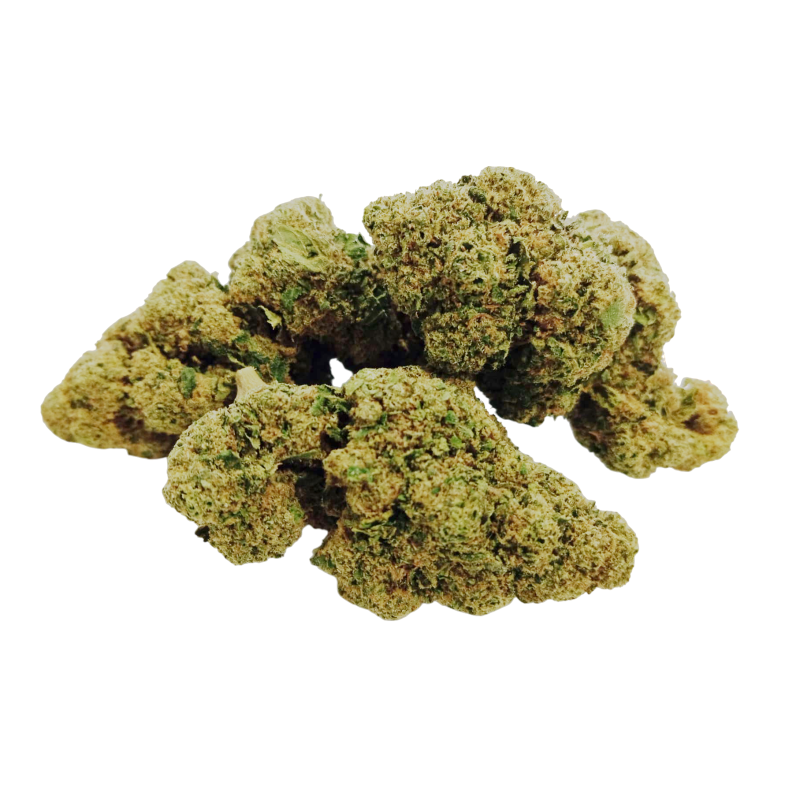 Choco Buds Premium
