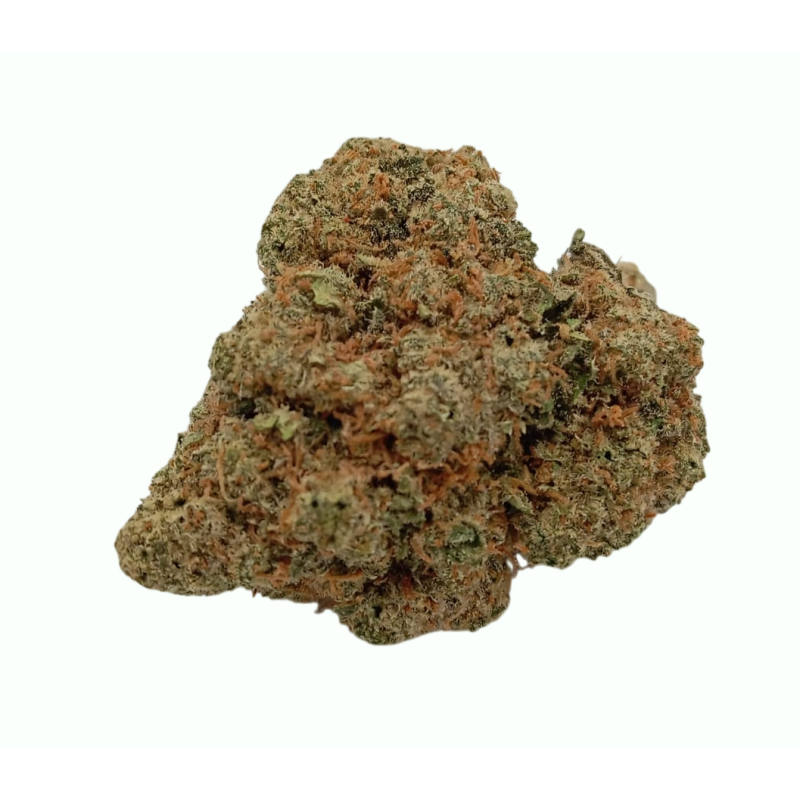 Northern Lights Premium