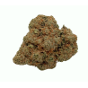Northern Lights Premium
