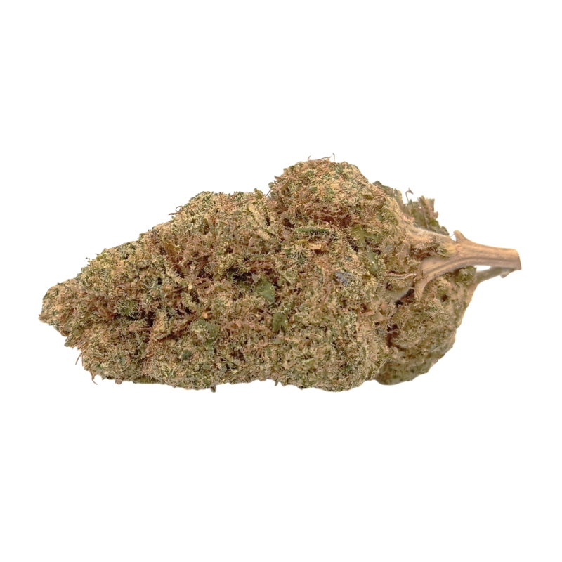 M.A.C. Premium