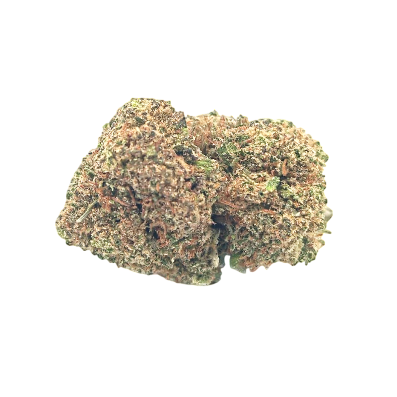 Cheese Indoor