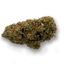 Strawberry Cookies Indoor