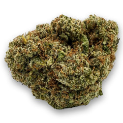 Zkittlez Premium