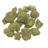 Small Buds Premium GP5