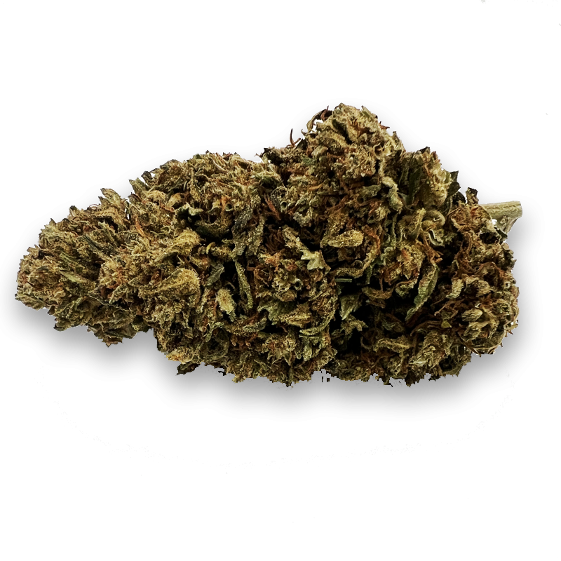 Super Lemon Haze Outdoor